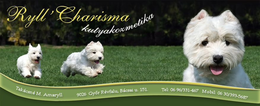 Kutyakozmetika, kutyakozmetikus Győr